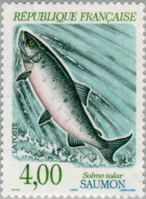 Colnect-145-982-Atlantic-Salmon-Salmo-salar.jpg