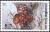 Colnect-2236-074-Auricularia-polytricha.jpg