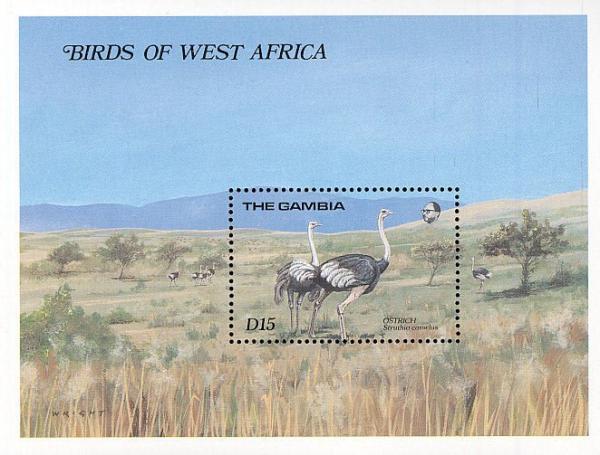 Colnect-1462-497-Ostrich-Struthio-camelus.jpg