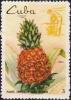 Colnect-1969-014-Agriculture--Pineapple.jpg