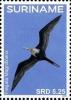 Colnect-4204-531-Fregata-magnificens-Magnificent-Frigatebird.jpg