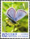 Colnect-5829-256-Butterfly-Lycaeides-subsolanus-yarigadakeanus.jpg