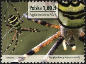 Colnect-3128-277-Wasp-Spider-Argiope-bruennichi.jpg