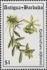 Colnect-1753-186-Epidendrum-difforme.jpg