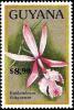 Colnect-3526-964-Epidendrum-ibaguense.jpg