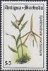 Colnect-1753-189-Epidendrum-nocturnum.jpg