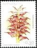 Colnect-568-018-OrchidOrchis-coriophora.jpg