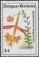Colnect-1753-188-Epidendrum-ibaguense.jpg