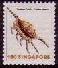 Colnect-1721-875-Scorpion-Spider-Conch-Lambis-scorpius.jpg