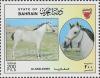 Colnect-1805-990--quot-Al-Saqlawieh-quot--Equus-ferus-caballus.jpg