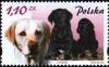 Colnect-1987-019-Labrador-Retriever-Canis-lupus-familiaris.jpg