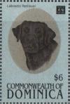 Colnect-3198-179-Labrador-Retriever-Canis-lupus-familiaris.jpg