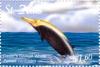 Colnect-3483-427-Cuvier-s-beaked-whale.jpg