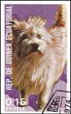 Colnect-4990-017-Cairn-Terrier-Canis-lupus-familiaris.jpg