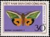 Colnect-5879-866-Green-Fruit-piercing-Moth-Maenas-salaminia.jpg