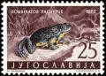Colnect-5501-756-Yellow-bellied-Toad-Bombina-veriegata.jpg