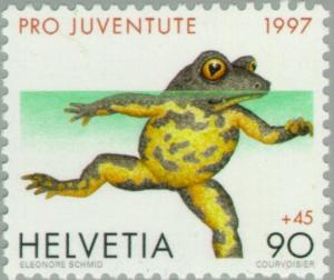 Colnect-141-304-Yellow-Bellied-Toad-Bombina-variegata.jpg