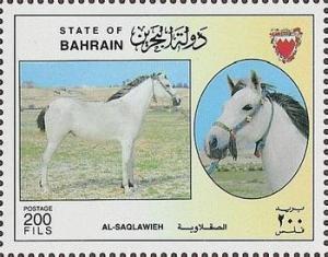 Colnect-1805-990--quot-Al-Saqlawieh-quot--Equus-ferus-caballus.jpg