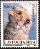 Colnect-873-161-Welsh-Terrier-Canis-lupus-famiiaris.jpg