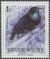 Colnect-3128-104-Magnificent-Riflebird-Ptiloris-magnificus.jpg