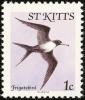 Colnect-1659-303-Magnificent-Frigatebird.jpg