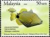 Colnect-1446-476-Orange-lined-Triggerfish-Balistapus-undulatus.jpg