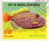 Colnect-1650-650-Orange-lined-Triggerfish--Balistapus-undulatus.jpg