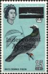 Colnect-4537-848-White-crowned-Pigeon-Patagioenas-leucocephala.jpg