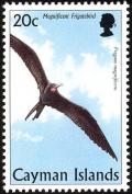 Colnect-1776-861-Magnificent-Frigatebird-Fregata-magnificens.jpg