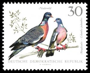 Colnect-1975-389-Wood-Pigeon-Columba-palumbus.jpg