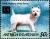 Colnect-4112-701-West-highland-white-terrier.jpg