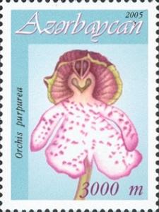 Stamps_of_Azerbaijan%2C_2005-696.jpg