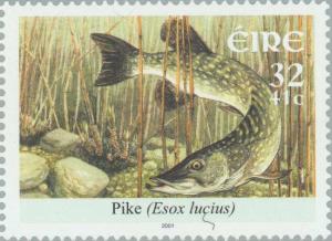 Colnect-129-876-Pike-Esox-lucius.jpg