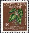 Colnect-1834-950-Philodendron-brenesi.jpg