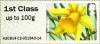 Colnect-2254-663-Wild-Daffodil-MA14.jpg