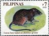 Colnect-2874-798-Luzon-Hairy-tailed-Rat-nbsp-Batomys-granti-.jpg