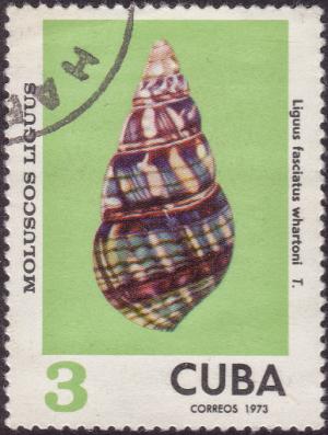 Colnect-1800-988-Cuba-Tree-Snail-Liguus-fasciatus-whartoni.jpg