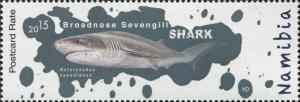 Colnect-3065-046-Broadnose-Sevengill-Shark-Notorynchus-cepedianus.jpg