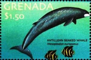 Colnect-4545-546-Antillean-baked-whale.jpg