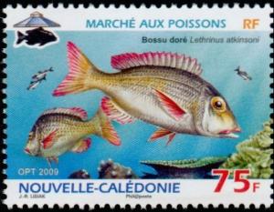 Colnect-858-917-Pacific-Yellowtail-Emperor-Lethrinus-atkinsoni-.jpg