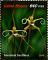 Colnect-5646-373-Maxillaria-fractiflexa.jpg
