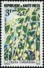 Colnect-4556-483-Opilia-celtidifolia.jpg