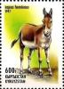 Colnect-2653-850-Asian-Wild-Ass-Equus-hemionus.jpg