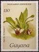 Colnect-3977-395-Maxillaria-sanderiana.jpg