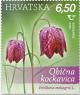 Colnect-6612-043-Fritillaria-meleagris-L.jpg