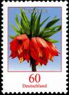 Colnect-5205-801-Fritillaria-imperialis---Kaiser--s-Crown.jpg