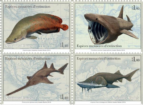 Colnect-2587-571-Arapaima-gigas-Arapaima-Cetorhinus-maximus-Basking-shark.jpg