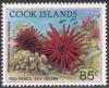 Colnect-1920-520-Red-Pencil-Urchin-Heterocentrotus-mammillatus.jpg