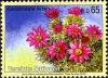 Colnect-2043-166-Pincushion-Cactus.jpg