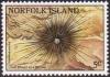Colnect-2354-676-Black-Long-spine-Sea-Urchin-Diadema-setosa.jpg